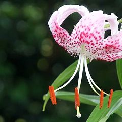 24位のイメージ