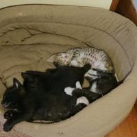 17位のイメージ