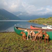 11位のイメージ