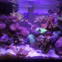 24位のイメージ