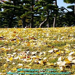 28位のイメージ