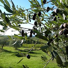 22位のイメージ