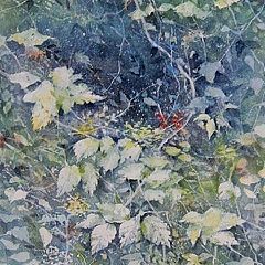 50位のイメージ