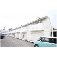 29位のイメージ