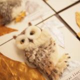 11位のイメージ