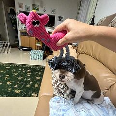 17位のイメージ