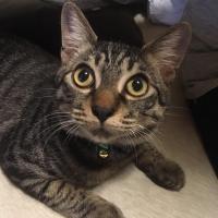 135位のイメージ