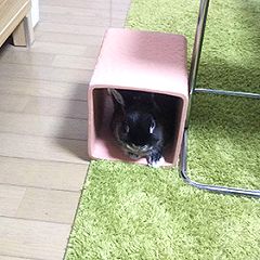 36位のイメージ