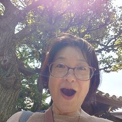 251位のイメージ