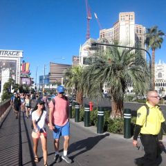 15位のイメージ