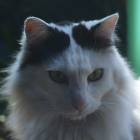 119位のイメージ