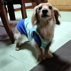 193位のイメージ