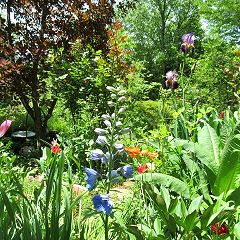 30位のイメージ