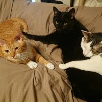 20位のイメージ