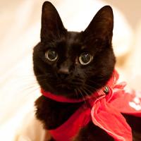 18位のイメージ