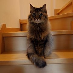 10位のイメージ