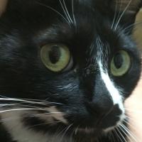 50位のイメージ