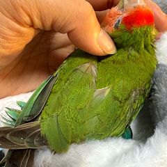 12位のイメージ