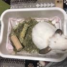 23位のイメージ