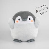 12位のイメージ