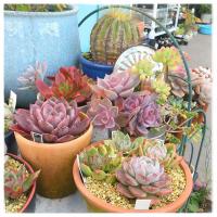 28位のイメージ