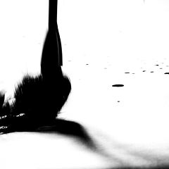 15位のイメージ