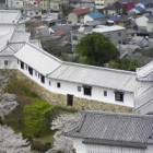 12位のイメージ