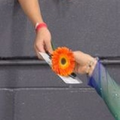 144位のイメージ