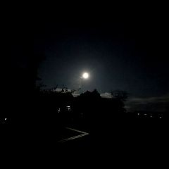 12位のイメージ