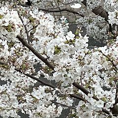 19位のイメージ