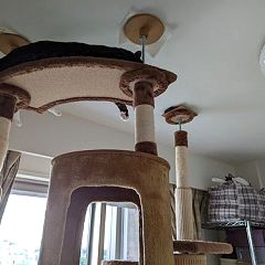 13位のイメージ