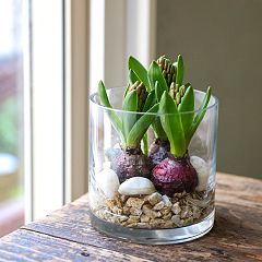 25位のイメージ