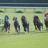 65位のイメージ