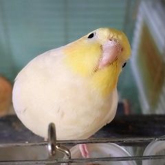 23位のイメージ