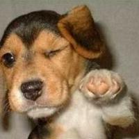 123位のイメージ