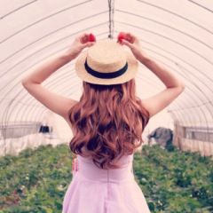 97位のイメージ