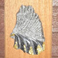 34位のイメージ