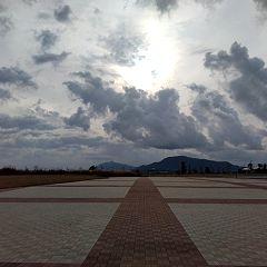 55位のイメージ