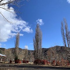 43位のイメージ