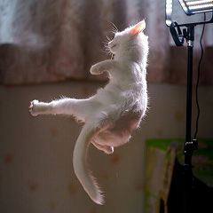 21位のイメージ