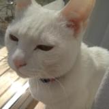 11位のイメージ