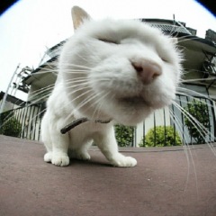 15位のイメージ