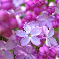 26位のイメージ