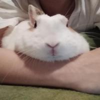 11位のイメージ