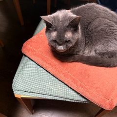 24位のイメージ