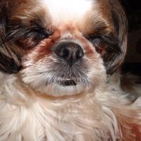 47位のイメージ