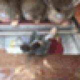 48位のイメージ