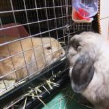 10位のイメージ