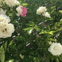 22位のイメージ