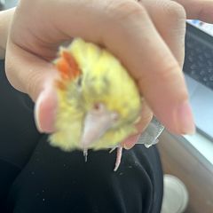 20位のイメージ